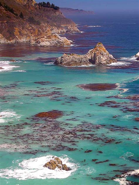 Big sur information is here to help distribute information to the big sur community and the. Big Sur rocky coast, fog and giant kelp in California ...