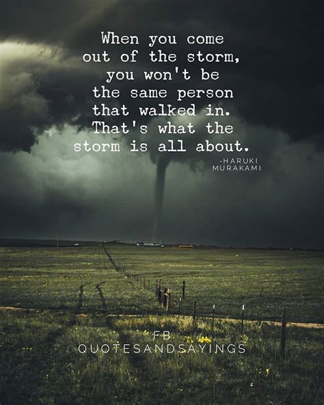 When You Come Out Of The Storm You Wont Be The Same Person That Walked