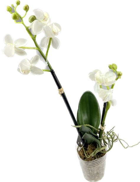 orchidea mini 27 cm obal bílá keramika umĚlÉ kvĚtiny dekorace