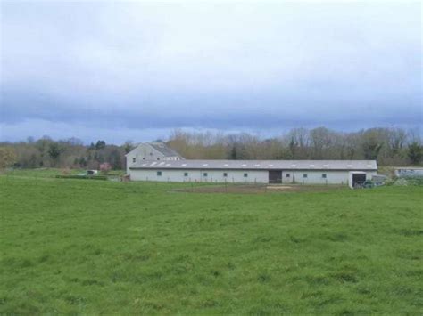 Equestrian Stud Farms Archives Farms For Sale Ireland