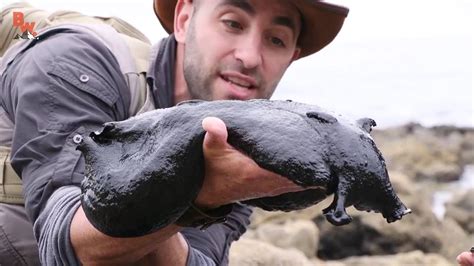 It S Huge Giant Black Slug Amazing Youtube