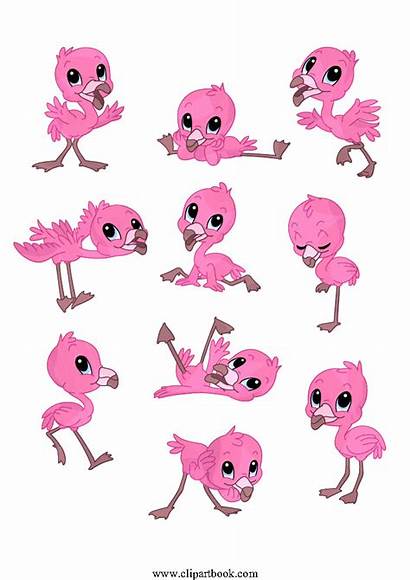 Flamingo Clip Draw Clipart Flamingos Bebe