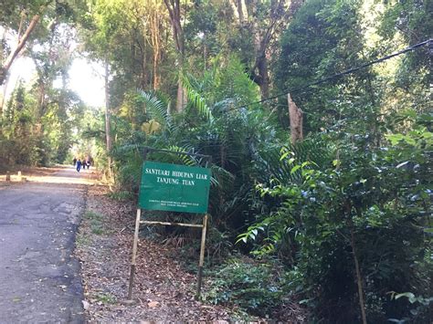 Bukit batu putih trail is located at tanjung tuan forest reserve, which is classified as an important bird and biodiversity area (iba). Menjelajah Bukit Batu Putih, Port Dickson