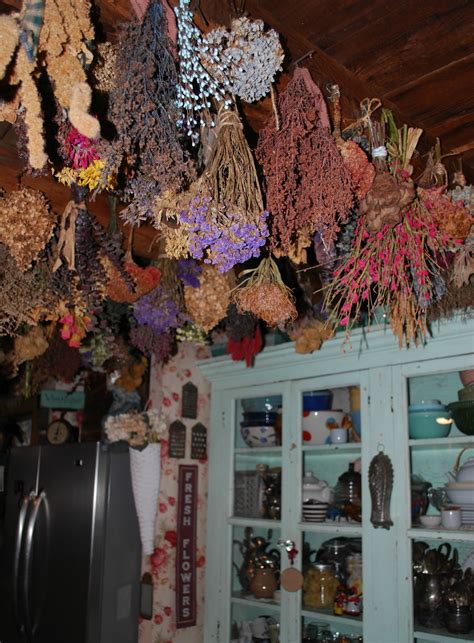 String grapevine to fishing line and hang from ceiling supplies needed 6' eiffel tower big hibiscus flowers wire arch raffia. Capers of the Vintage Vixens: DRIED FLOWERS; I LOVE THEM:)