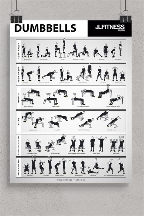 Dumbbell Training Poster 18 X 24 Dumbbell Workout Dumbell Workout