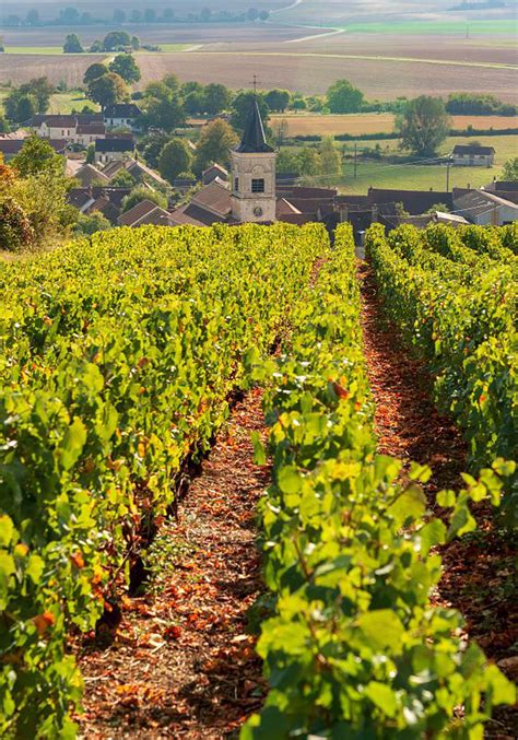 Routes Des Vins Sillonner La Bourgogne