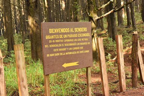 Parque Nacional Montecristo El Parque En El Salvador Que Debes Visitar