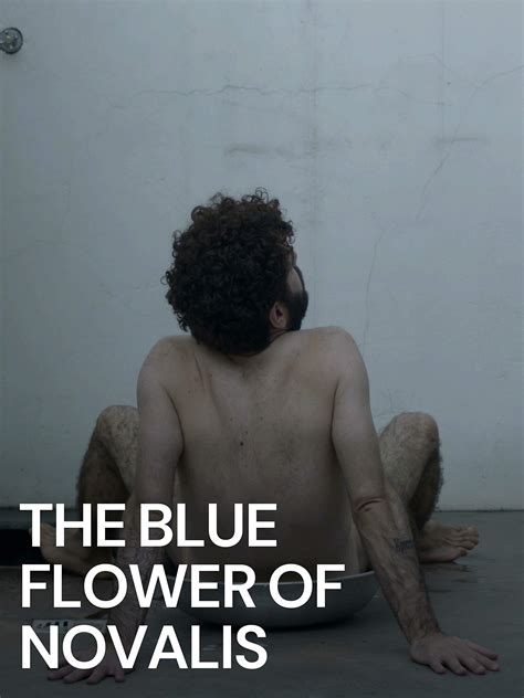 Amazon De The Blue Flower Of Novalis Ansehen Prime Video