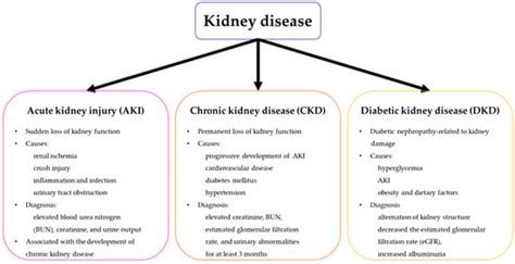 Acute Kidney Injury Definition Epidemiology And Outcome Legitimaris