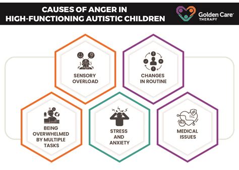High Functioning Autism And Anger Golden Care