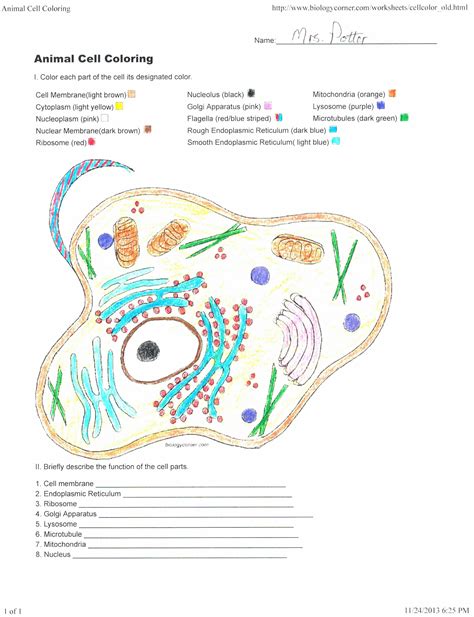 Animal Cell Coloring Worksheet Answer Key