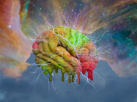 lsd effects on the brain the hidden potential of psychedelic drugs learning mind