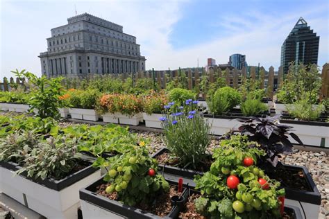 49 Simple Rooftop Garden Ideas