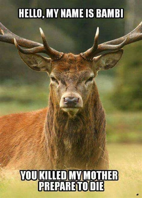 Funny Bambi Princess Bride Joke Saying Deer Picture