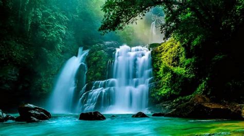 Nauyaca Waterfalls Costa Rica Backiee