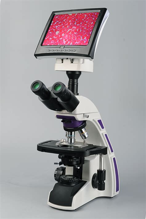 Maybe you would like to learn more about one of these? Microscope Manufacturers Companies In Taiwan Mail : USB ...
