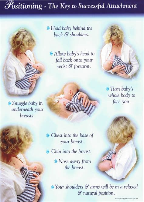 Positioning The Key To Successful Breastfeeding Chart Birth International