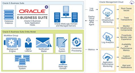 Información Sobre La Supervisión De Oracle E Business Suite En