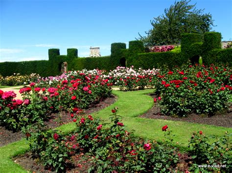 7 Beautiful British Gardens Touristbee