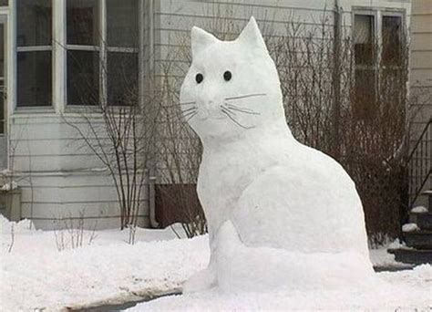 Snowcats Cat Snowman Inspiration For Feline Lovers Pictures
