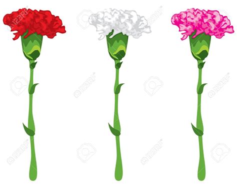 See more ideas about clip art, carnations, pink. Carnations clipart 20 free Cliparts | Download images on ...