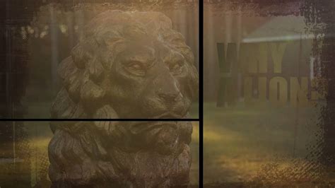 Why A Lion On Vimeo