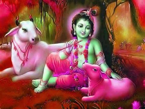 Baby Krishna Cute Wallpapers With Cow Background - HD Wallpaper Pictures