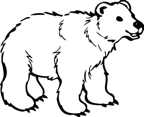 Download High Quality Bear Clipart Outline Transparent Png Images Art