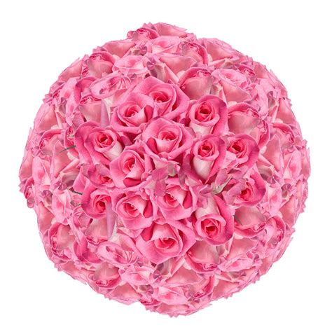 Globalrose 150 Fresh Cut Pink Roses Long Stem Wedding