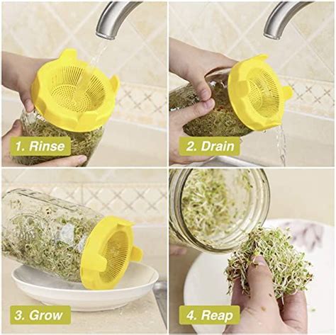 Easy Rinse And Drain Plastic Sprouting Lids For Wide Mouth