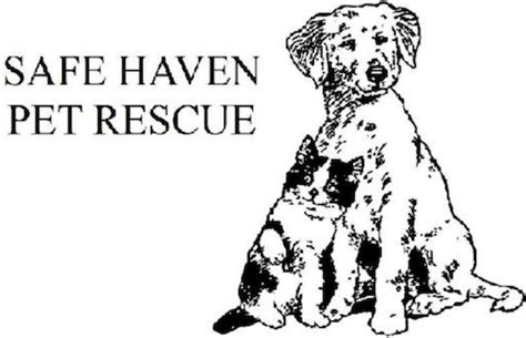 Safe Haven Pet Rescue