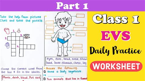 Class 1 Evs Worksheet । Evs Worksheet For Class 1 । Evs Syllabus For