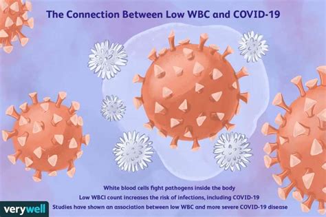 Low White Blood Cell Count Causes Adults