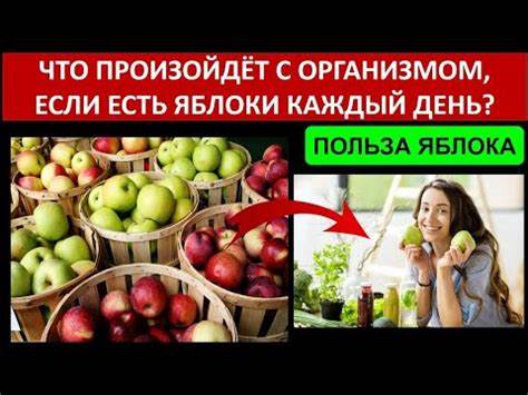 На сколько похудеешь если есть весь день яблоки