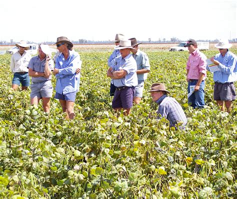 If a farmer plants one type of crop and swaps it out when it starts to attract a certain type of bug it will be awhile before more are attracted to the new plant. How can summer crops help drive down weed seed numbers ...