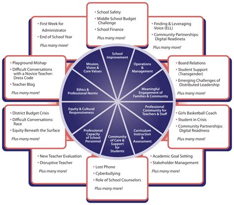 Alignment With Professional Standards Schoolsims