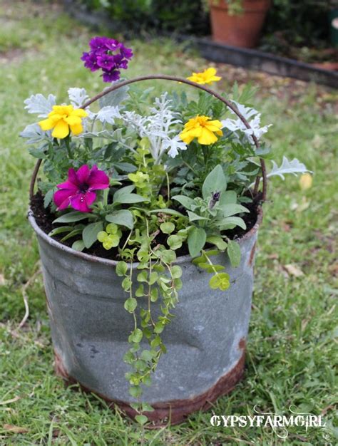 A Bottomless Rusty Flower Bucket Container Flowers