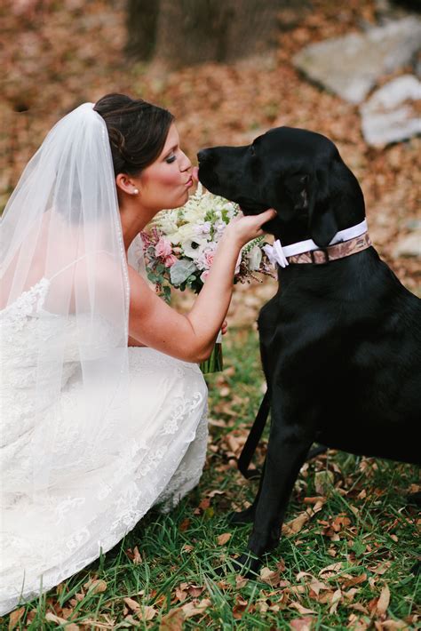 Bride Kissing Best Dog Photo Wedding Photography Brittany Custer