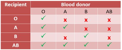 The Abcs Of Abo Blood Types And Canadian Blood Services