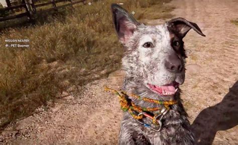 10 Heckin Good Games Where You Can Pet The Dog