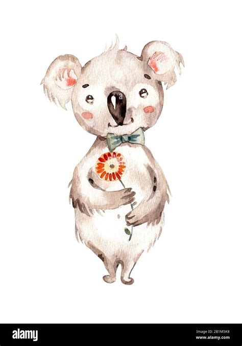 Süßes Australisches Baby Tier Koala Aquarell Nursery Hand Bemalt