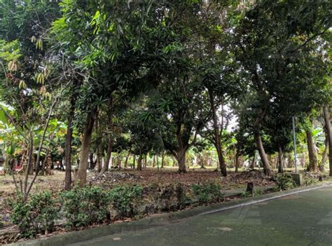 Check spelling or type a new query. Imus Cavite Subdivision for Sale