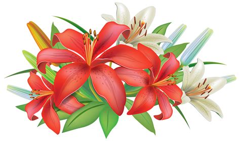 Easter Lily Clipart Free Tiger Lily Coloring Pages Fr Vrogue Co