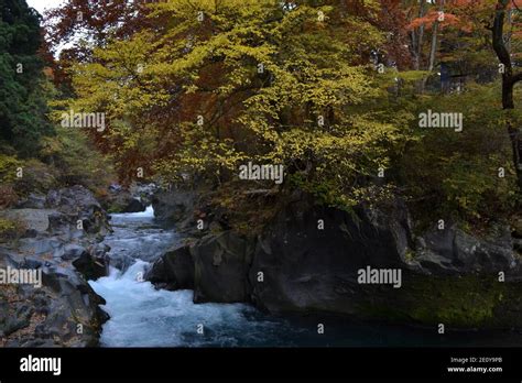 Autumn In Nikko Japan Stock Photo Alamy