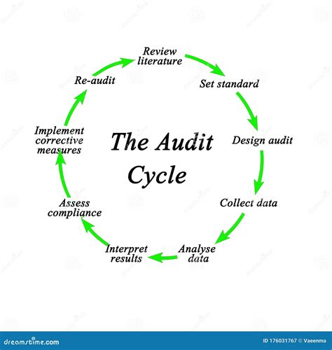 Components Of Audit Cycle Stock Illustration Illustration Of Data