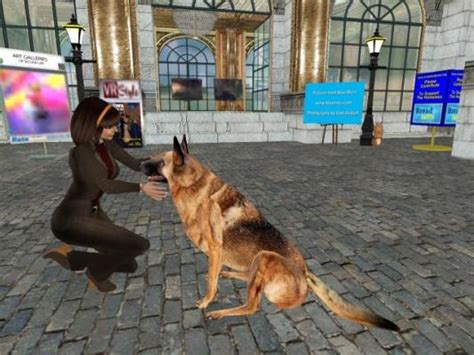 Dogs Play Free Online Dog Games Dogs Game Downloads