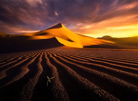 Desert Landscape Dune Wallpapers Hd Desktop And Mobile Backgrounds
