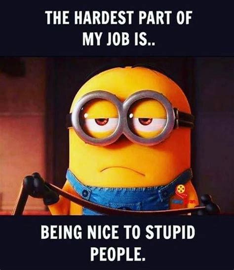45 funny jokes minions quotes with minions dailyfunnyquote