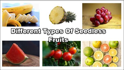 6 Different Types Of Seedless Fruits With Images Asian Recipe