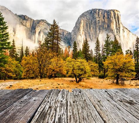 Yosemite Valley At Cloudy Autumn Morning Stock Photo Image Of